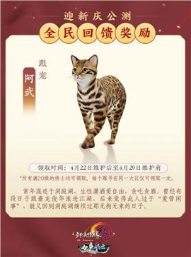 天龙八部私服白山